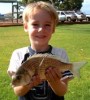 Bream2