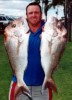 snapper kalbarri