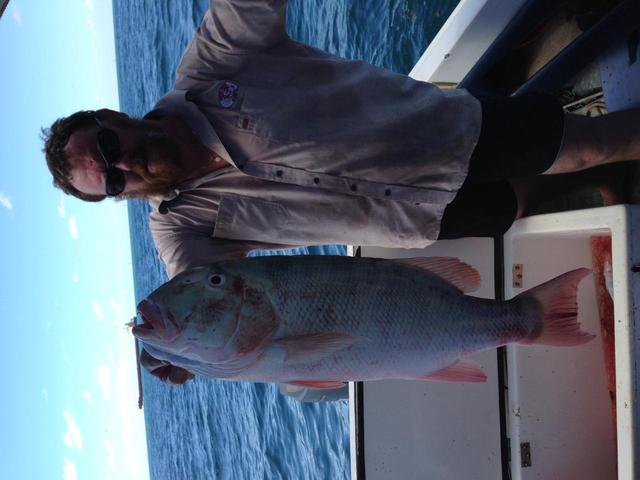 Not a bad fish to christen the new boat - Can anyone help identify species?