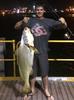 Black Jewfish @ Port Hedland Jetty.