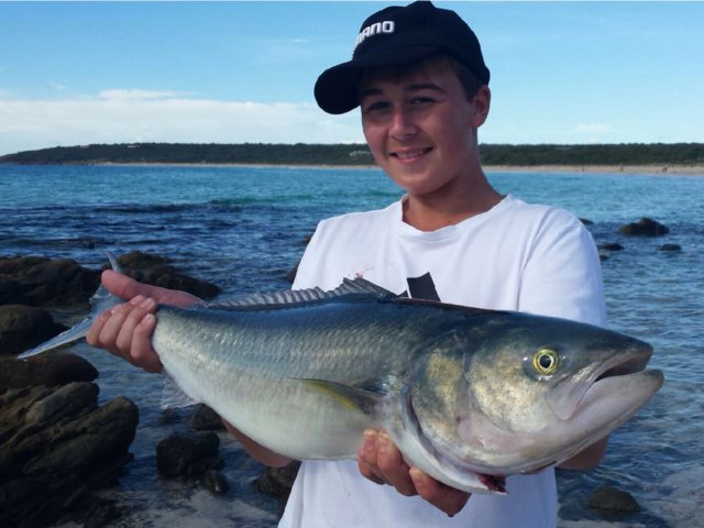 Bunker bay salmon