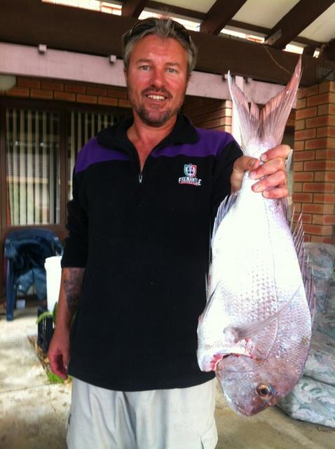 Mates snapper Mates snapper