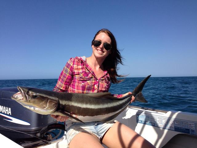 Cobia