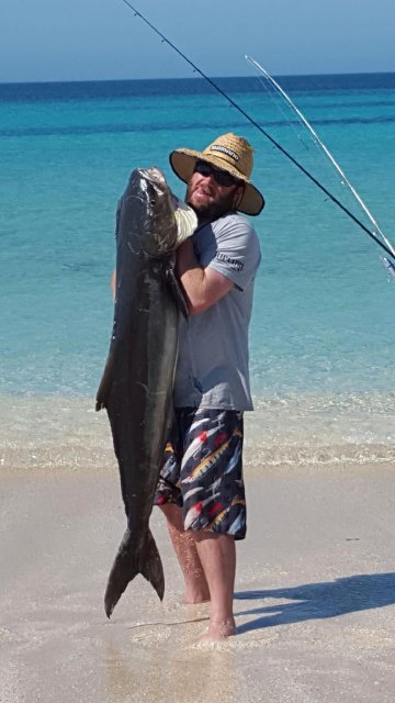 POTM Kayak Cobia "Shark Bay Area"