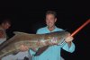 Big cobia