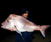 Metre plus landbased pink snapper 