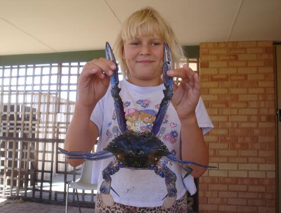 Mandurah Crabs