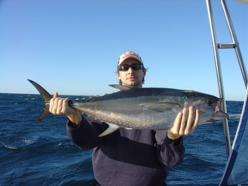 Long Tail Tuna