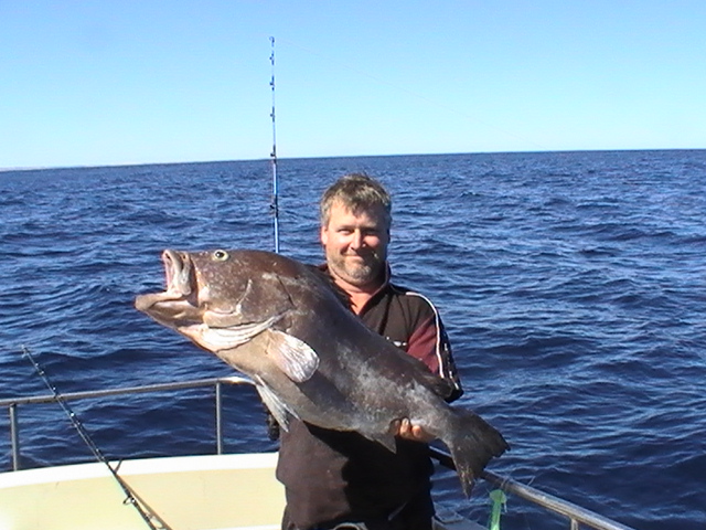 Ningaloo Rankin 