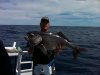 First Blue Eye Trevalla @ 14kg