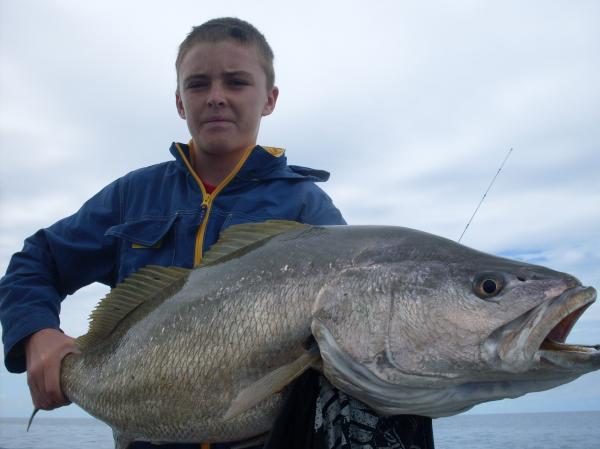 mulloway mulloway