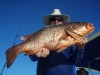 Moshy's Mangrove Jack