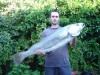 Mulloway at Home