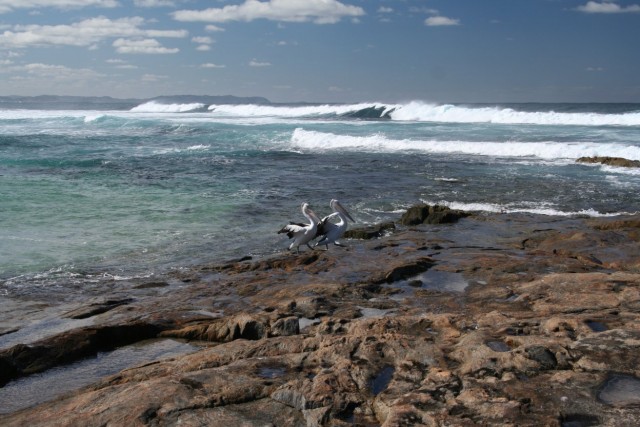 Peaceful Bay conditions