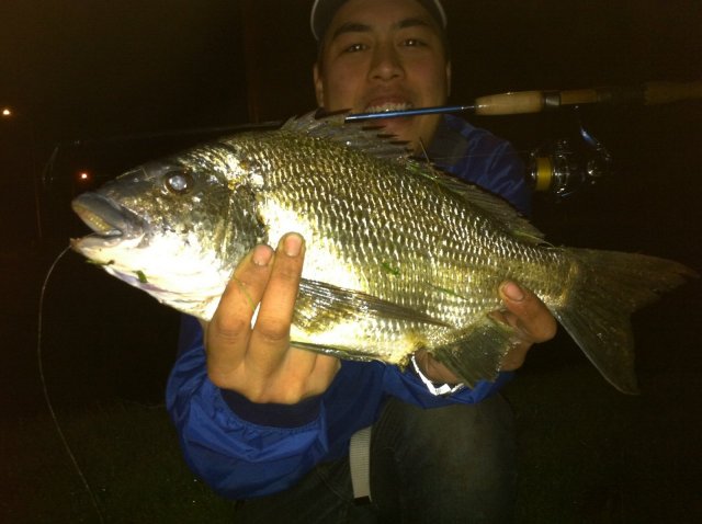 Bream on Mullet