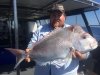 Leemo's Pink Snapper