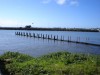 High Tide at Point Peron