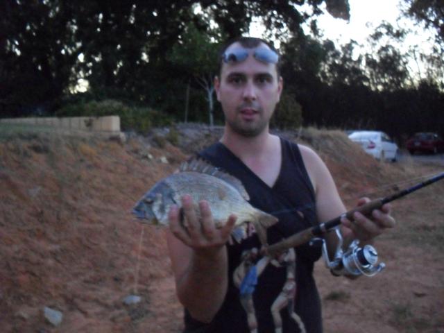 PB black bream on lure