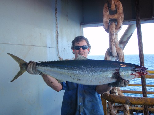 Thumpn Rainbow runner on handline 