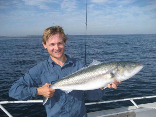 Salmon Salmon