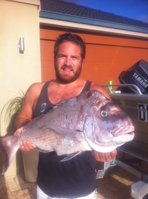 Snapper from the tinnie