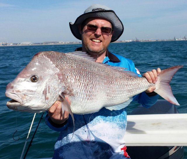 Cockburn Snapper