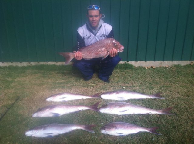 SA Snapper Session Part 2