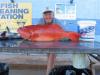 Kev's Coral Trout