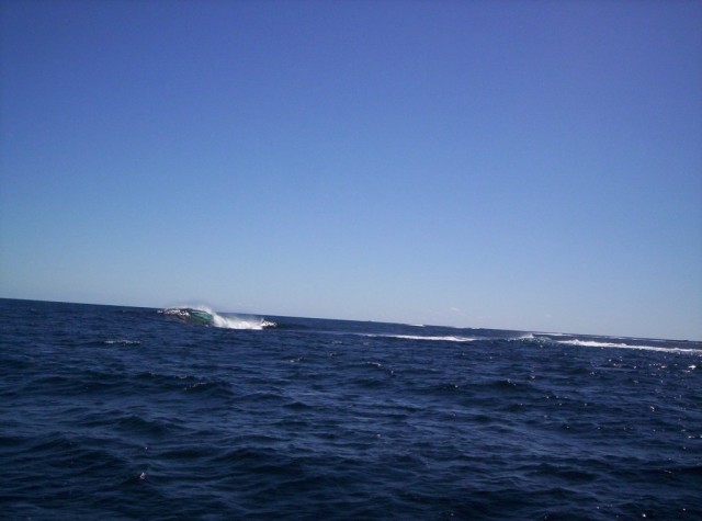 Rottnest Tubes