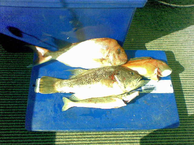 mixed bag mixed bag