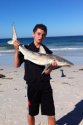 jarrad.lachlan's picture