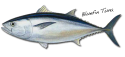 jammo's picture